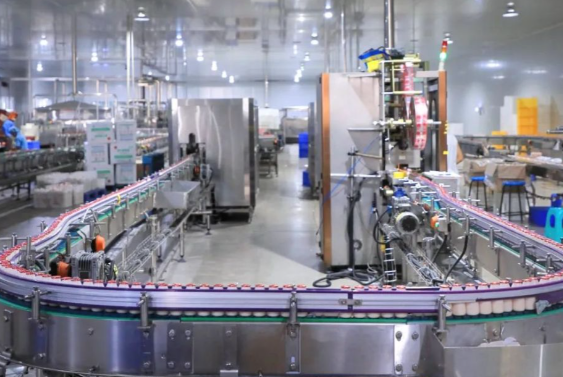 罐頭廠弱電工程解決方案提升自動化水平保障生產流程穩定高效